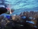 Yucatan tailor made holiday in Mexico