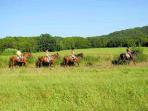 Catalan horse riding holiday in Spain