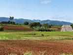 Small group cycling holiday in Cuba