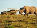 Volunteer at The Shamwari Wildlife Reserve, South Africa