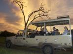 Botswana camping safaris