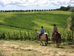 Chianti horse riding holiday in Italy