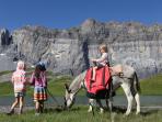Family adventure holiday to France
