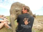 Volunteer with elephants in Cambodia
