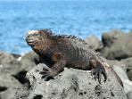 Galapagos express small group tour