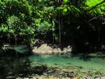 Dominica self catering cabins and yurts