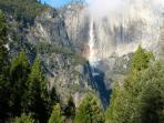 Yosemite National Park highlights tour, California