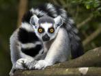 Madagasca small group holiday