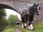 Kennet and Avon Canal Boat Trips, North Wessex Downs, England