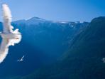Womens mountain retreat hiking & yoga holiday