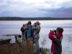 Kemeri National Park bird watching tour, Latvia