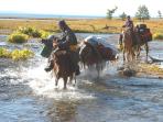 Mongolia adventure holiday & Naadam Festival