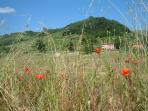 Bologna B&B farmhouse accommodation in Italy