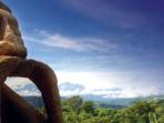 Wildlife holiday in Costa Rica