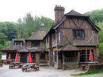 Traditional game pub in Surrey, England
