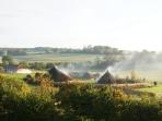 Chalton historic farm tours, South Downs, England