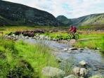 Mountain biking holidays in Scotland