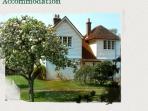 Burley self catering cottage, New Forest, England