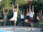 Yoga holiday in Tuscany, Italy