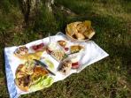 Fordingbridge walks with picnics, New Forest, England