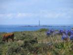 Isles of Scilly self catering appartment, St Agnes, England