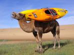 Zavkhan multi activity holiday in Mongolia