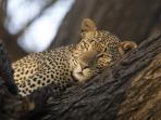 Tanzania & Zanzibar holiday, 12 days