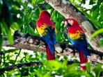 Costa Rica luxury adventure holiday