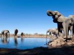 Kenya luxury safari and beach holiday, 10 days