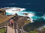 Mornington Peninsula walking holiday in Victoria, Australia  