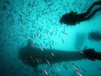 Galapagos Islands holidays