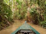 Amazon & Machu Picchu holiday 