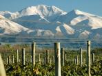 Tailor made holiday in Argentina, best of Argentina