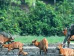 Central African holiday, Africa's best kept secret