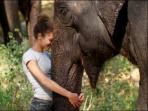 Elephant conservation holiday, Thailand
