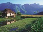 Indochina tour