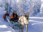 Family Christmas holidays in Lapland