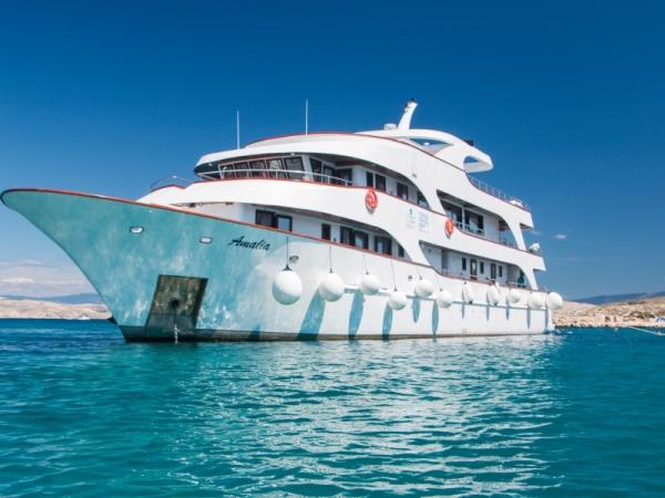 holidays for singles over 50 nz