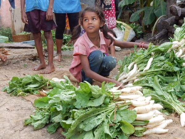 Rural India travel guide. Helping Dreamers Do.