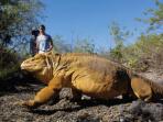 Peru and Galapagos holiday