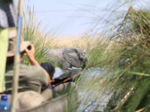 Namibia and Botswana camping safari