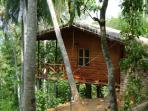 Kandy accommodation, eco lodge in Sri Lanka