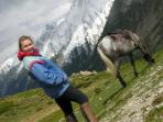 Horse riding holiday in the Mercantour