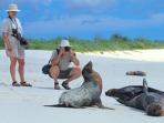 Ecuador highlands tour & Galapagos cruise