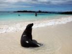 Galapagos adventure holiday with volunteering 