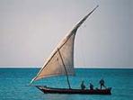 Selous safari & Zanzibar holiday