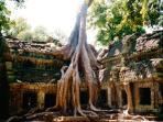 Angkor Wat tours, tailor made