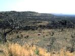 Holiday in South Africa, Madikwe and Waterberg, tailormade