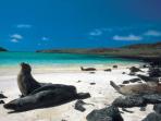 Galapagos holidays, Ecuador