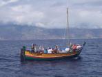 Madeira whale watching and wildlife holiday, Portugal